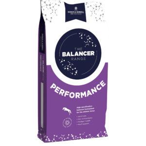 Performance Balancer (Dodson & Horrell)
