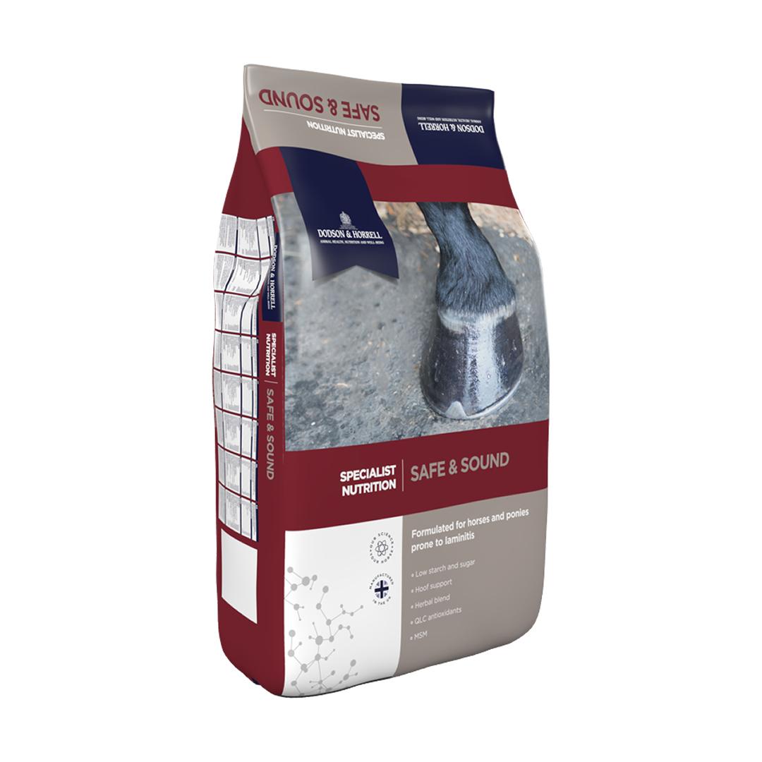 Safe and Sound (Dodson & Horrell)