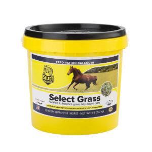 Select Grass (Select The Best)
