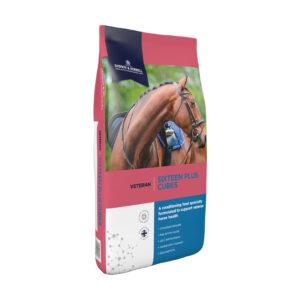 Sixteen Plus Cubes (Dodson & Horrell)