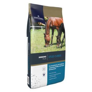 Stud Cubes (Dodson & Horrell)