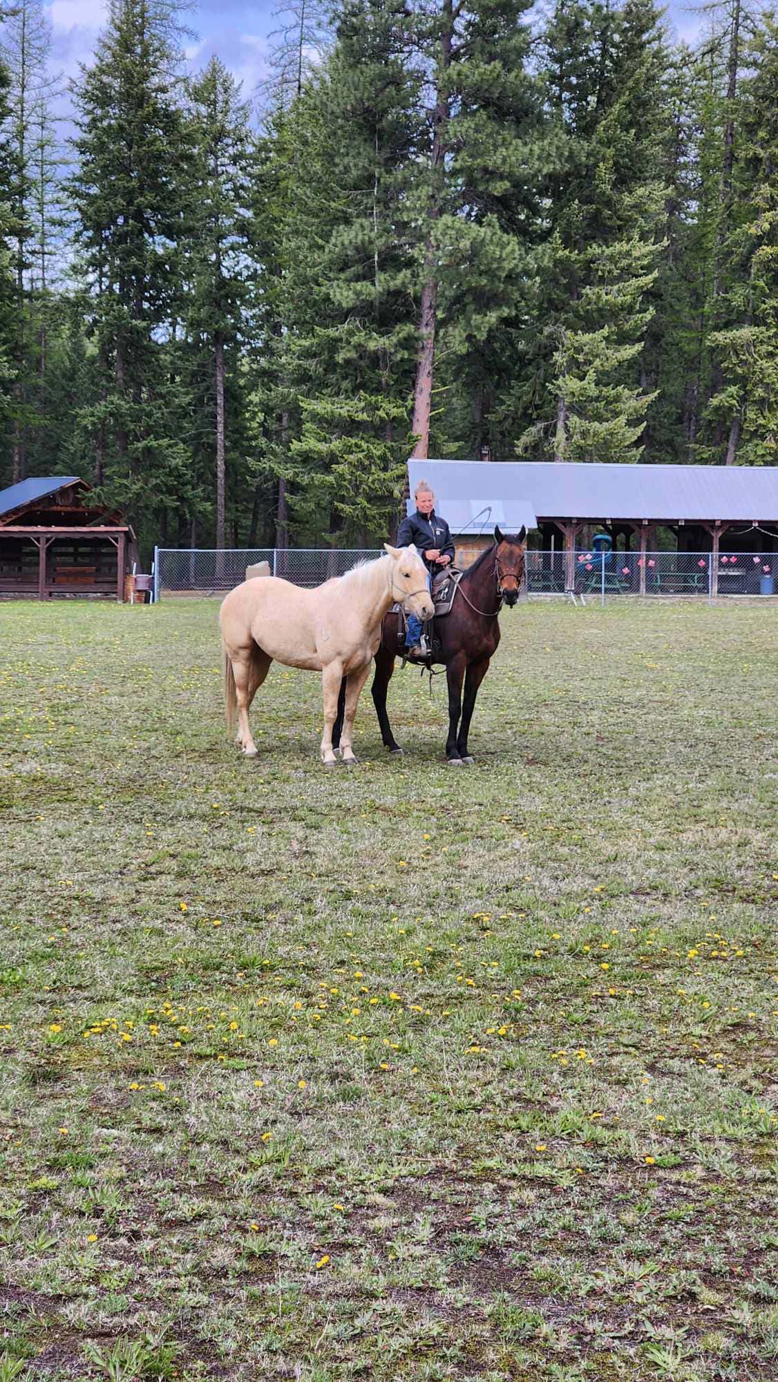 Joyce Wolters - Coaches & Trainers