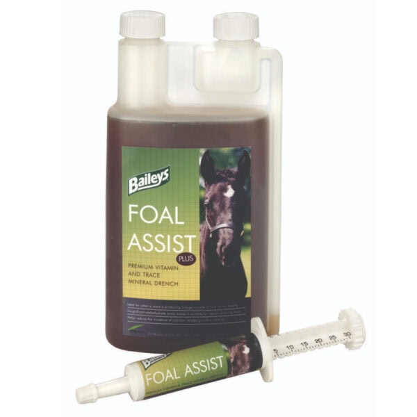 Foal Assist Syringe (Baileys Horse Feeds)