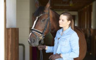 Pre-Purchase Exam for Horses