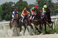 Exercise-Induced Pulmonary Hemorrhage (EIPH) in Horses – [Lung Bleeding]