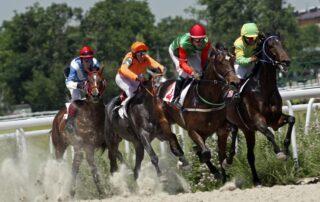 Exercise-Induced Pulmonary Hemorrhage in Horses
