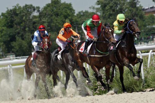 Exercise-Induced Pulmonary Hemorrhage in Horses