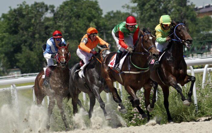 Exercise-Induced Pulmonary Hemorrhage in Horses