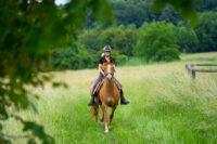 Thumps in Horses: Signs, Causes and Treatment of Synchronous Diaphragmatic Flutter