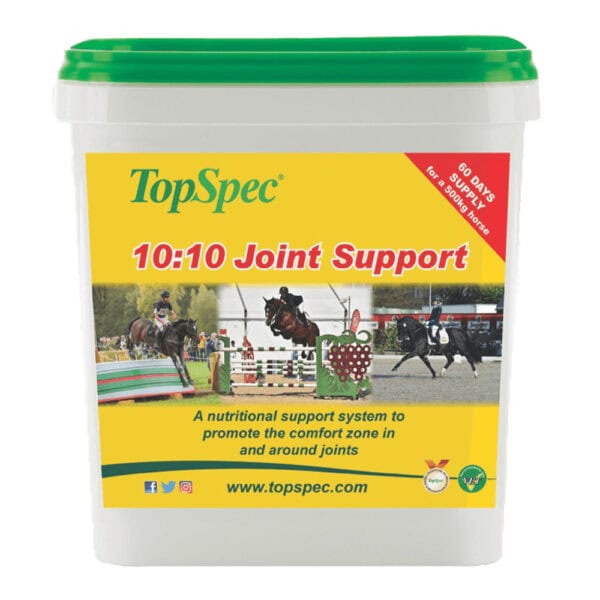 10:10 Joint Support (TopSpec)