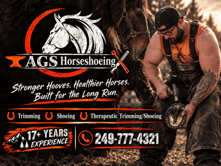 AGS Horseshoeing