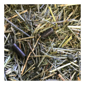 Chestnut Chomp (Chestnut Horse Feeds)