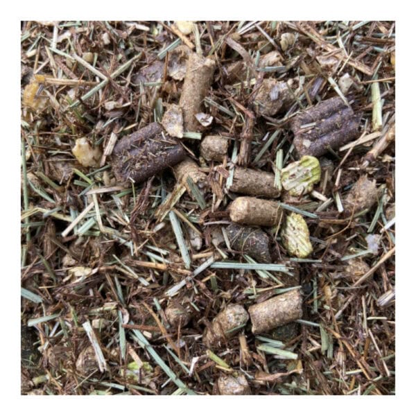 Chestnut Daily Maintenance (Chestnut Horse Feeds)