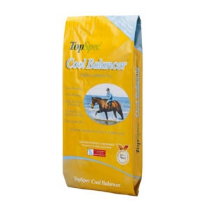 Cool Balancer (TopSpec)