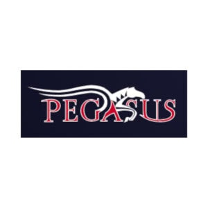 Cool Crunch (Pegasus)