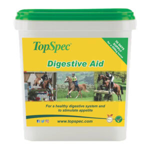 Digestive Aid (TopSpec)