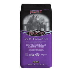 Equibalance (Pegasus)