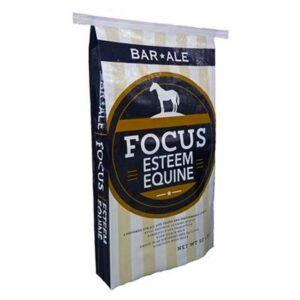 Equine Focus (Bar Ale)