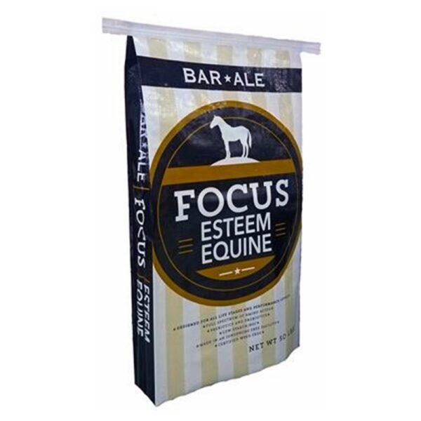 Equine Focus (Bar Ale)