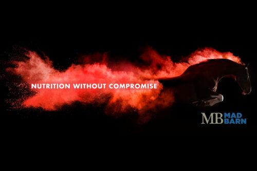 Equine Nutrition Research Modelling Project