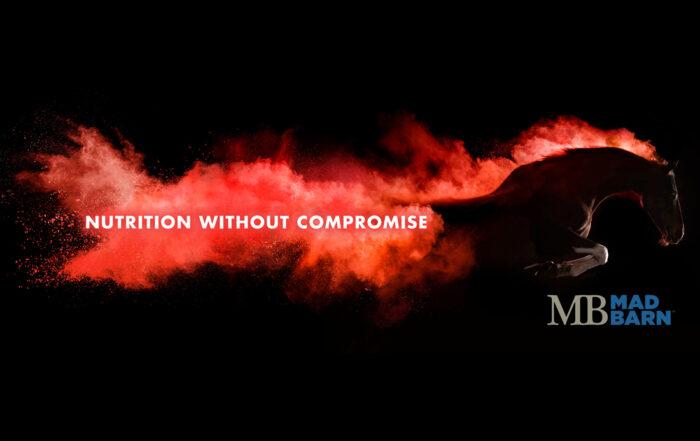 Equine Nutrition Research Modelling Project