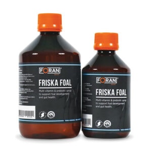 Friska Foal (Foran Equine)