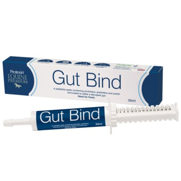 Gut Bind (Equine Premium)