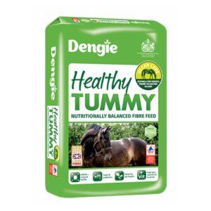 Healthy Tummy (Dengie)