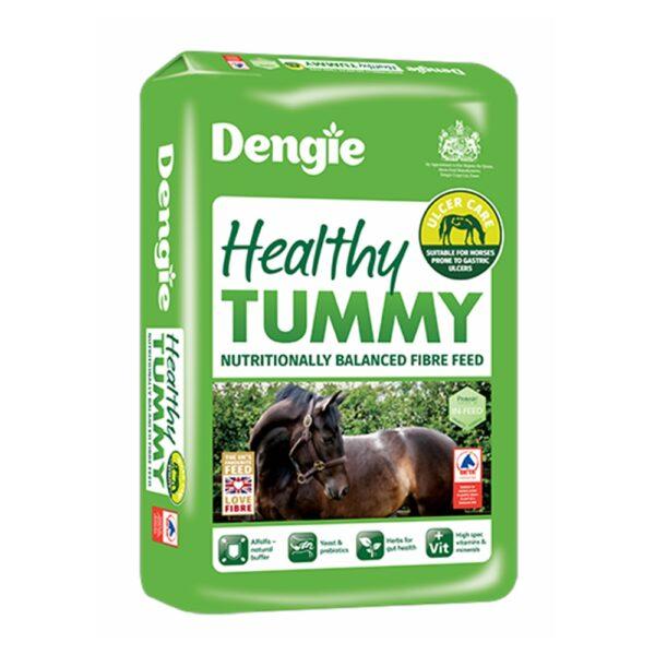 Healthy Tummy (Dengie)