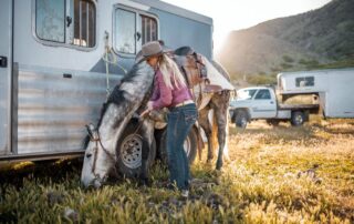 How to Transport your Horse by Trailer