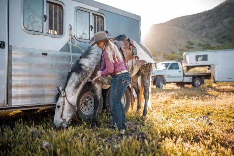How to Transport your Horse by Trailer