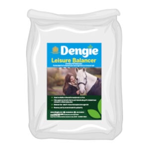 Leisure Balancer (Dengie)