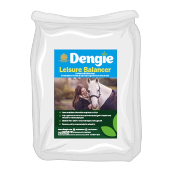 Leisure Balancer (Dengie)