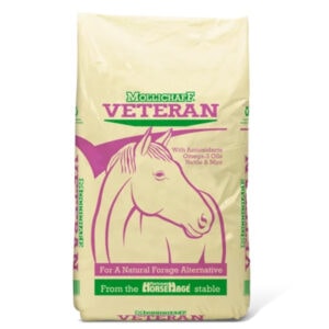 Mollichaff Veteran (HorseHage)