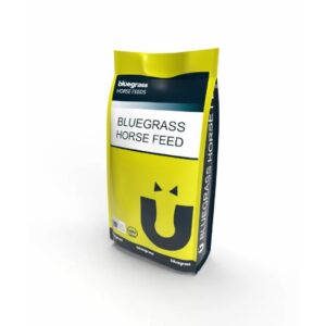 Oat Balancer Cube (Bluegrass Horse Feed)