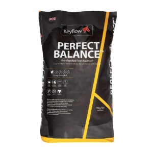 Perfect Balance (Keyflow Feeds)