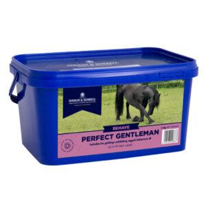 Perfect Gentleman (Dodson & Horrell)