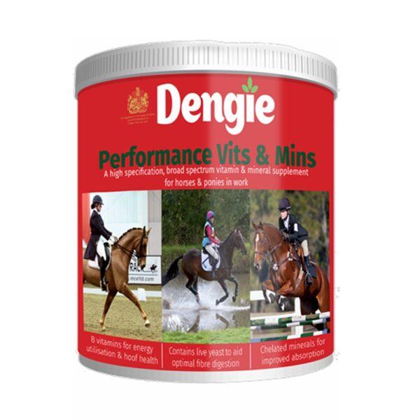 Performance Vits & Mins (Dengie)