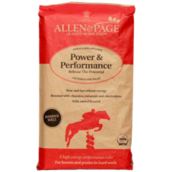 Power & Performance (Allen & Page)