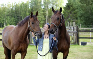 Signs Horse is Happy