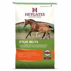 Stud Nuts (Heygates Feeds)