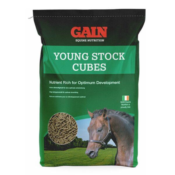 Young Stock Cubes (Gain Equine Nutrition)