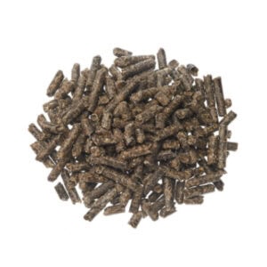 Beet Pulp Pellets with Molasses (Pestell Nutrition)