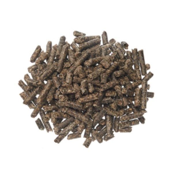Beet Pulp Pellets with Molasses (Pestell Nutrition)
