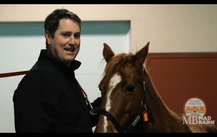 Dr. Jennifer Ellis Discusses her Equine Nutrition Modelling Research Project with Mad Barn