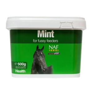 Mint (NAF Equine)