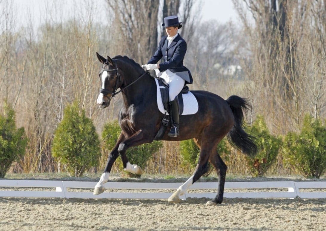 Planning for a Dressage Show Day [14-Point Checklist]