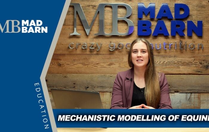 Dr Emily Leishman on Mechanistic Modelling of Equines