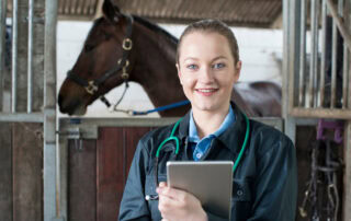 Equine Pneumonia Causes Symptoms and Treatments
