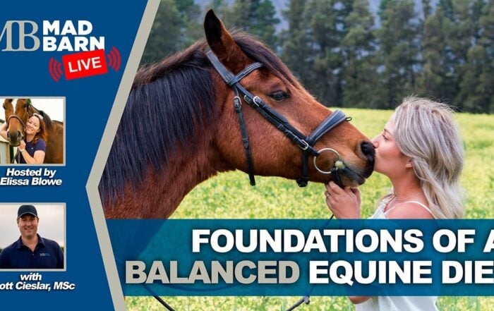 Foundations of a Balanced Equine Diet